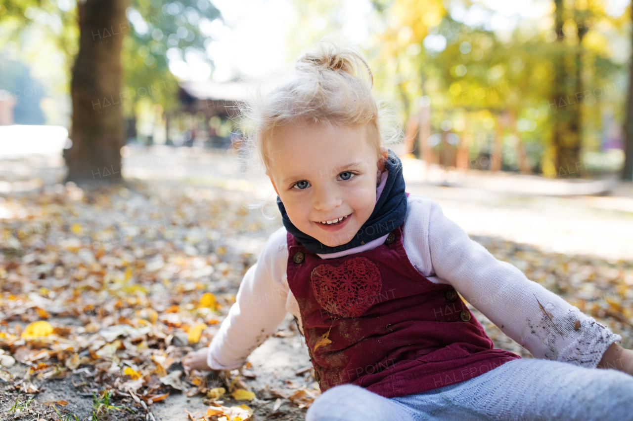 Front view portrait of a small toddler girl sitting on the ground in autumn forest, looking at camera.