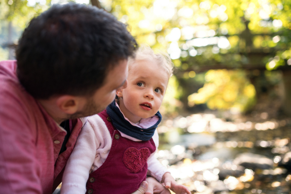 Unrecognizable father with small daughter on a walk in autumn forest, resting and talking.