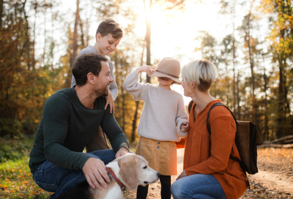 A beautiful young family with small children on a walk in autumn forest, looking at camera.