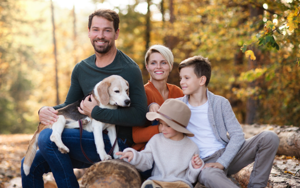 A beautiful young family with small children on a walk in autumn forest, looking at camera.