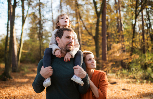 Beautiful young family with small daughter on a walk in autumn forest, having fun.