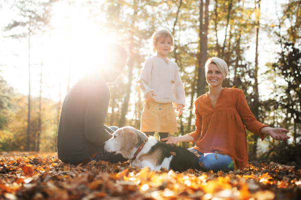 Beautiful young family with small daughter and dog sitting in autumn forest, resting.