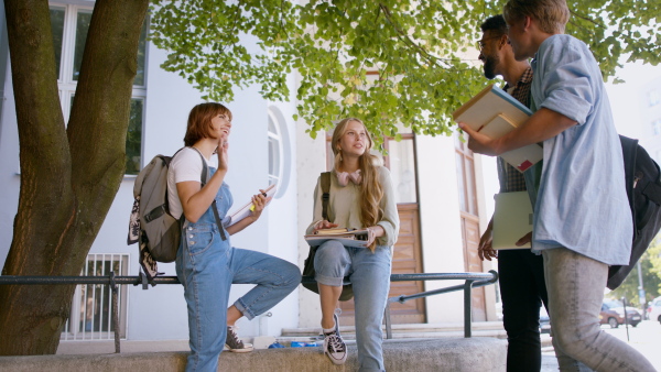 A group of students meeting in front of the university building, talking.