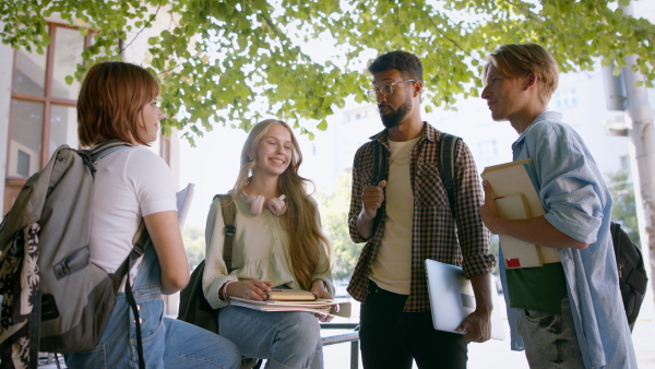 A group of students meeting in front of the university building, talking.