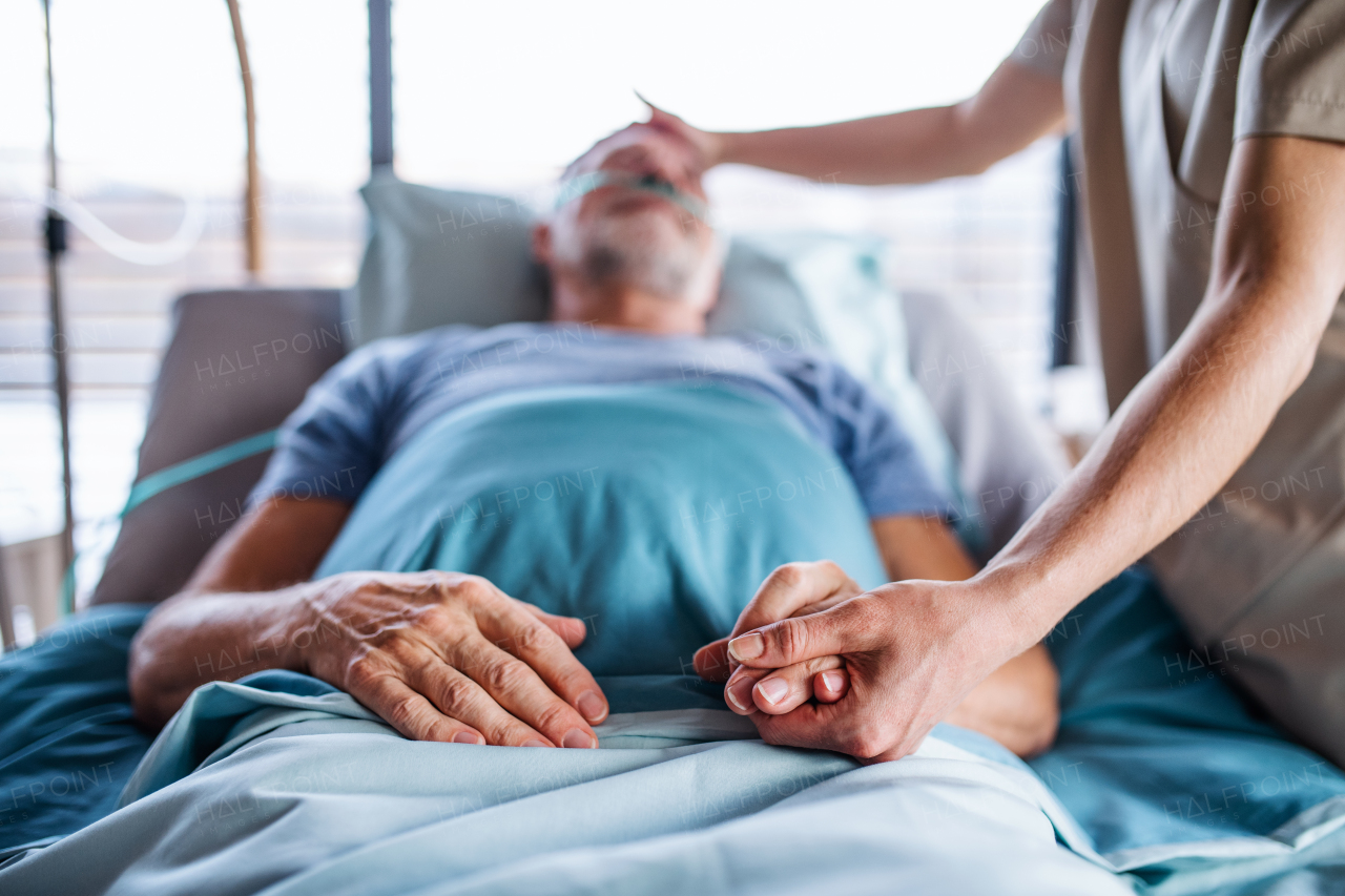 Unrecognizable female doctor examining senior man in bed in hospital, holding hands.