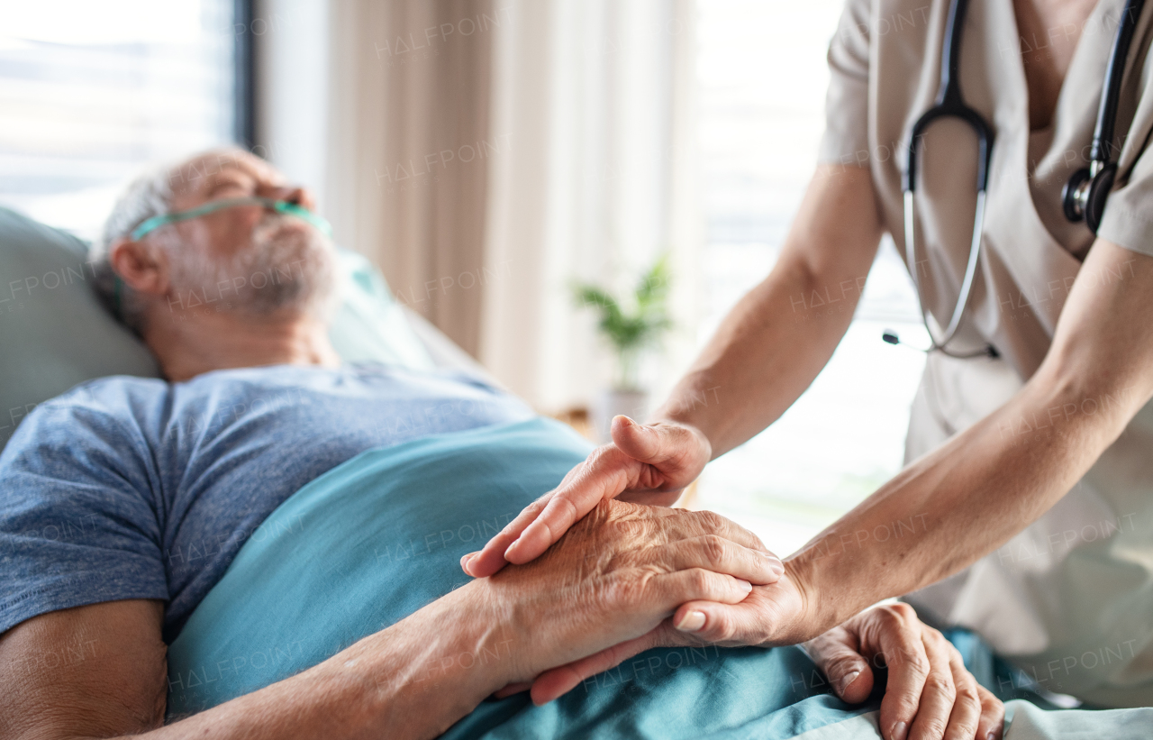 Unrecognizable female doctor examining senior man in bed in hospital, holding hands.