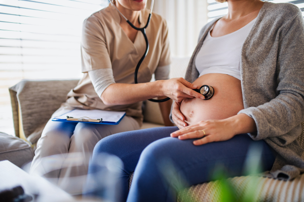 A midsection of unrecognizable healthcare worker examining pregnant woman indoors at home.