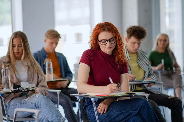 A portrait of group of university students sitting in classroom indoors, studying