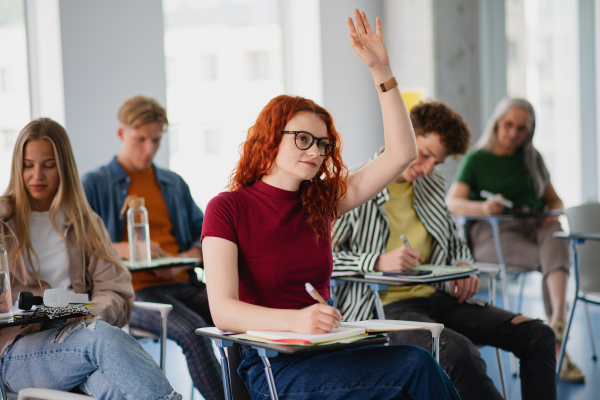 A portrait of group of university students sitting in classroom indoors, studying