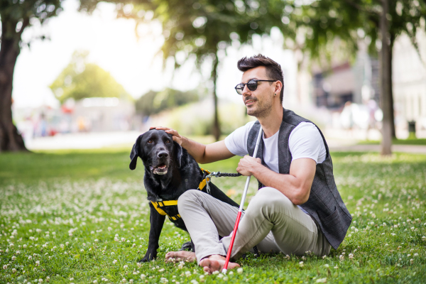 Young blind man with white cane and guide dog sitting in park in city, resting.