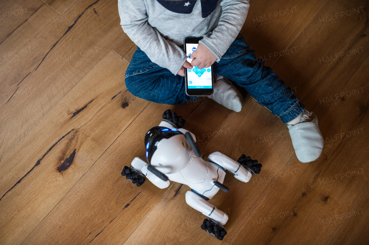 A midsection of toddler boy sitting on the floor indoors at home, playing with robotic dog.