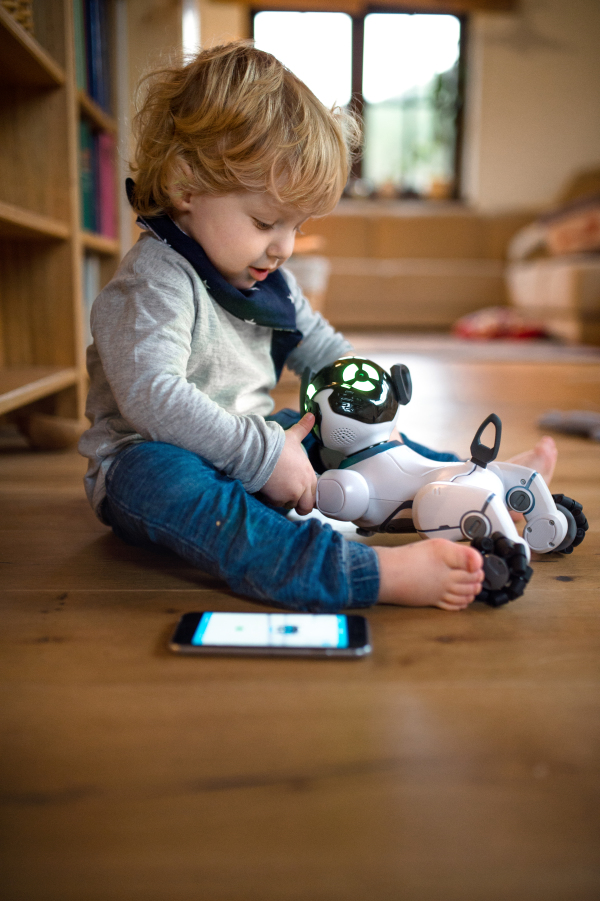 A happy cute toddler boy sitting indoors at home, playing with robotic dog.