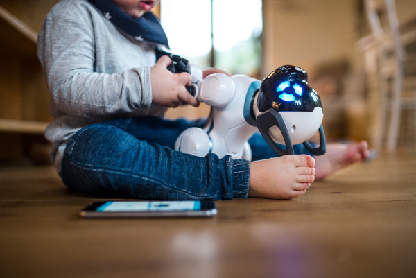 A midsection of toddler boy sitting on the floor indoors at home, playing with robotic dog.