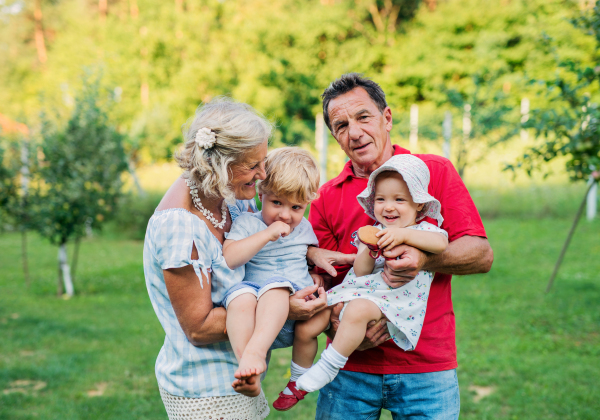 Senior grandparents holding toddler grandchildren outdoors in garden in summer.