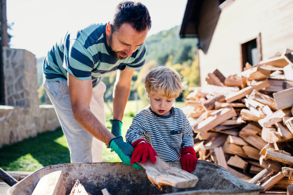 A happy father and toddler boy outdoors in summer, putting firewood in wheelbarrow.