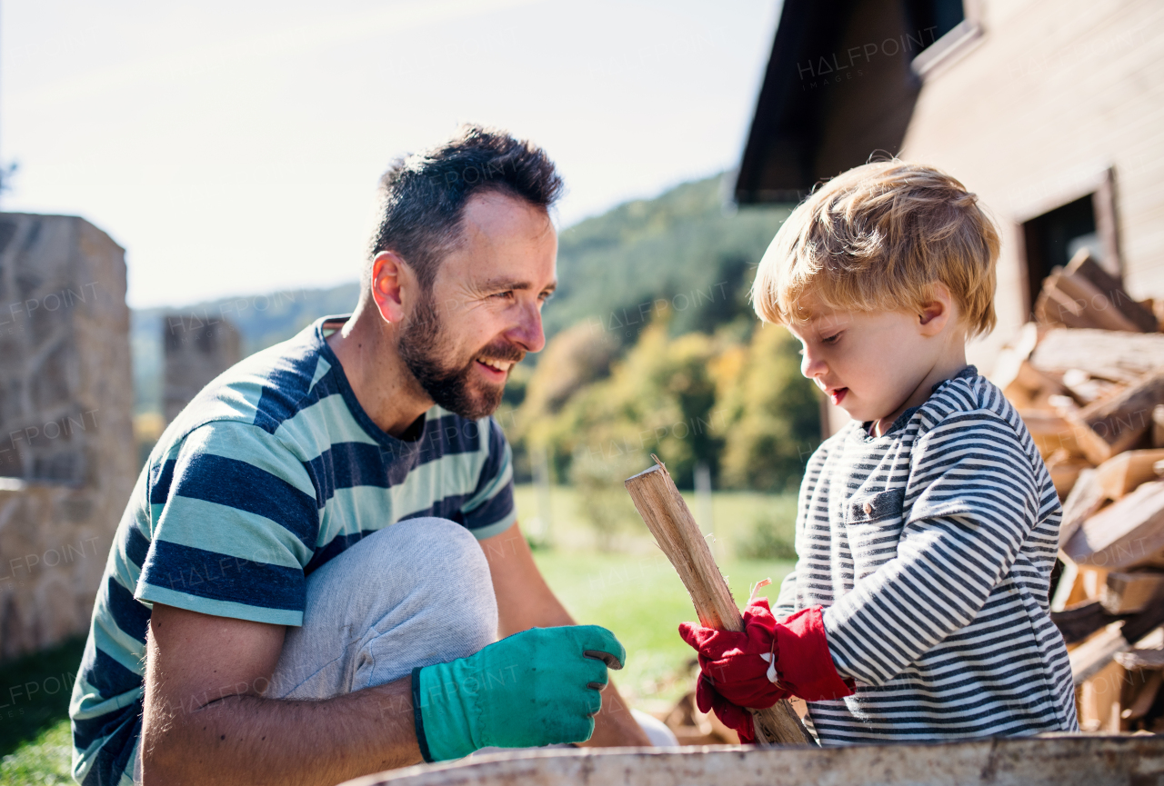 A happy father and toddler boy outdoors in summer, putting firewood in wheelbarrow.