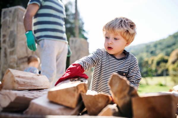 Unrecognizable father and toddler boy outdoors in summer, working with firewood.