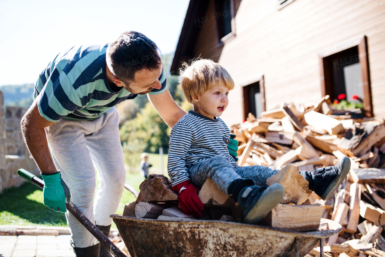 A father and toddler boy with wheelbarrow outdoors in summer, working with firewood.