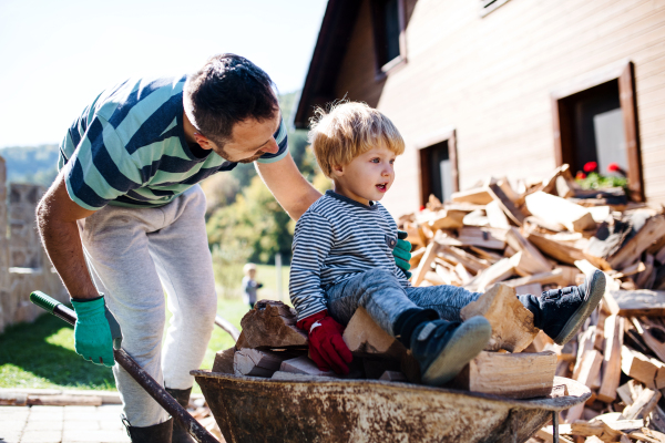 A father and toddler boy with wheelbarrow outdoors in summer, working with firewood.