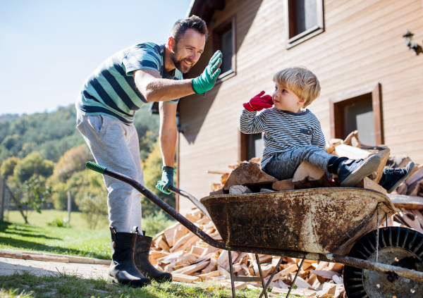 A happy father and toddler boy outdoors in summer, putting firewood in wheelbarrow.