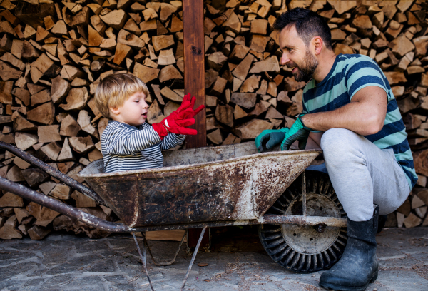 A father and toddler boy with wheelbarrow outdoors in summer, working with firewood.