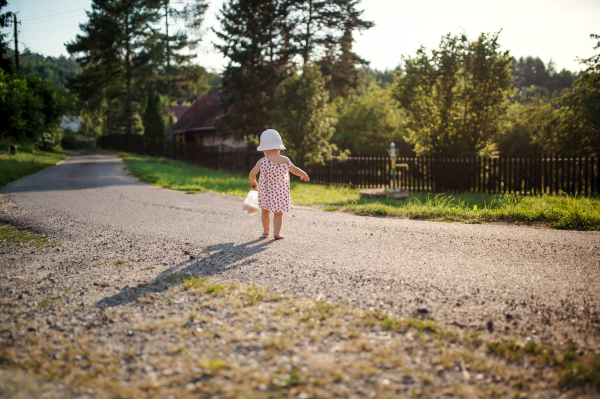 A rear view of cute toddler girl walking outdoors on road in countryside in summer. Copy space.