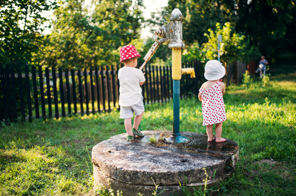 A rear view of toddler children standing outdoors in garden in summer.