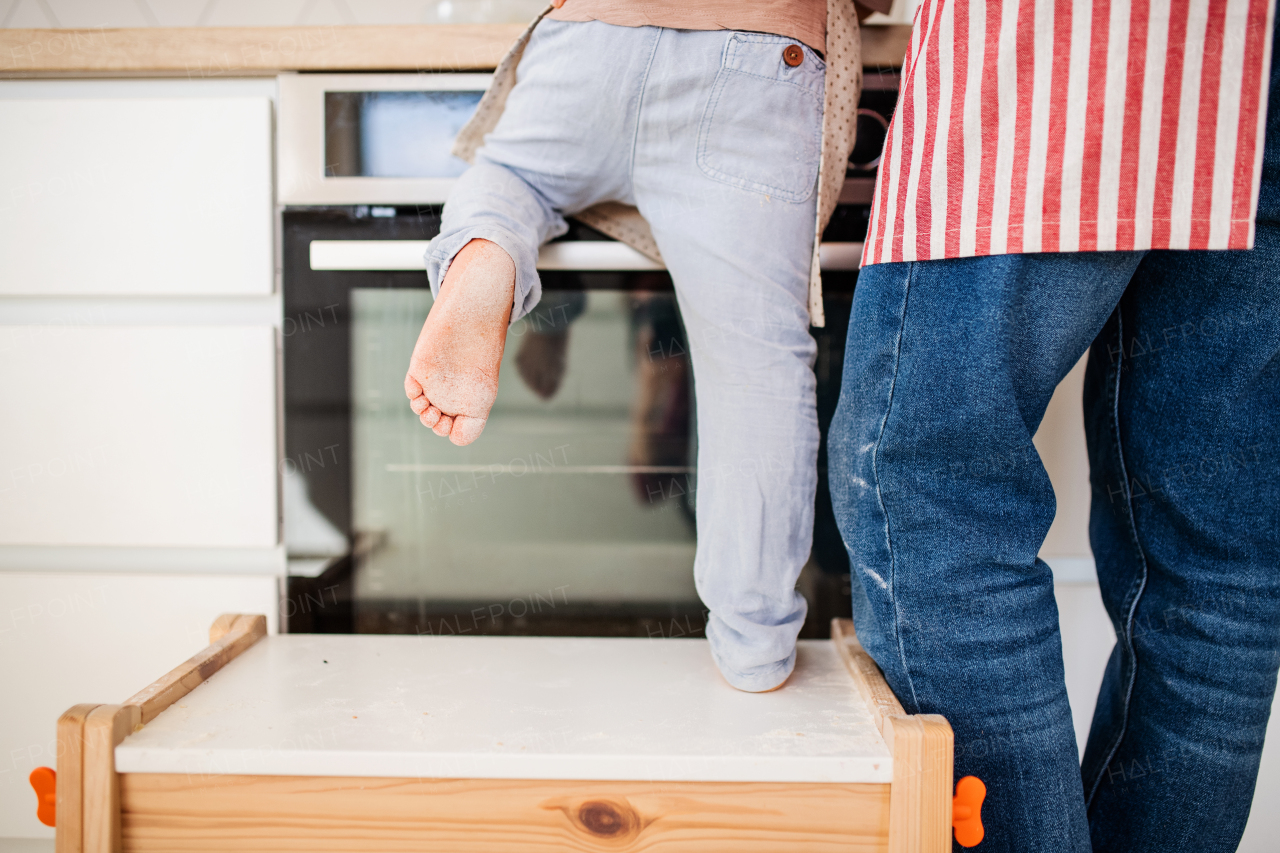 A rear view of small boy with father indoors in kitchen cooking, midsection.