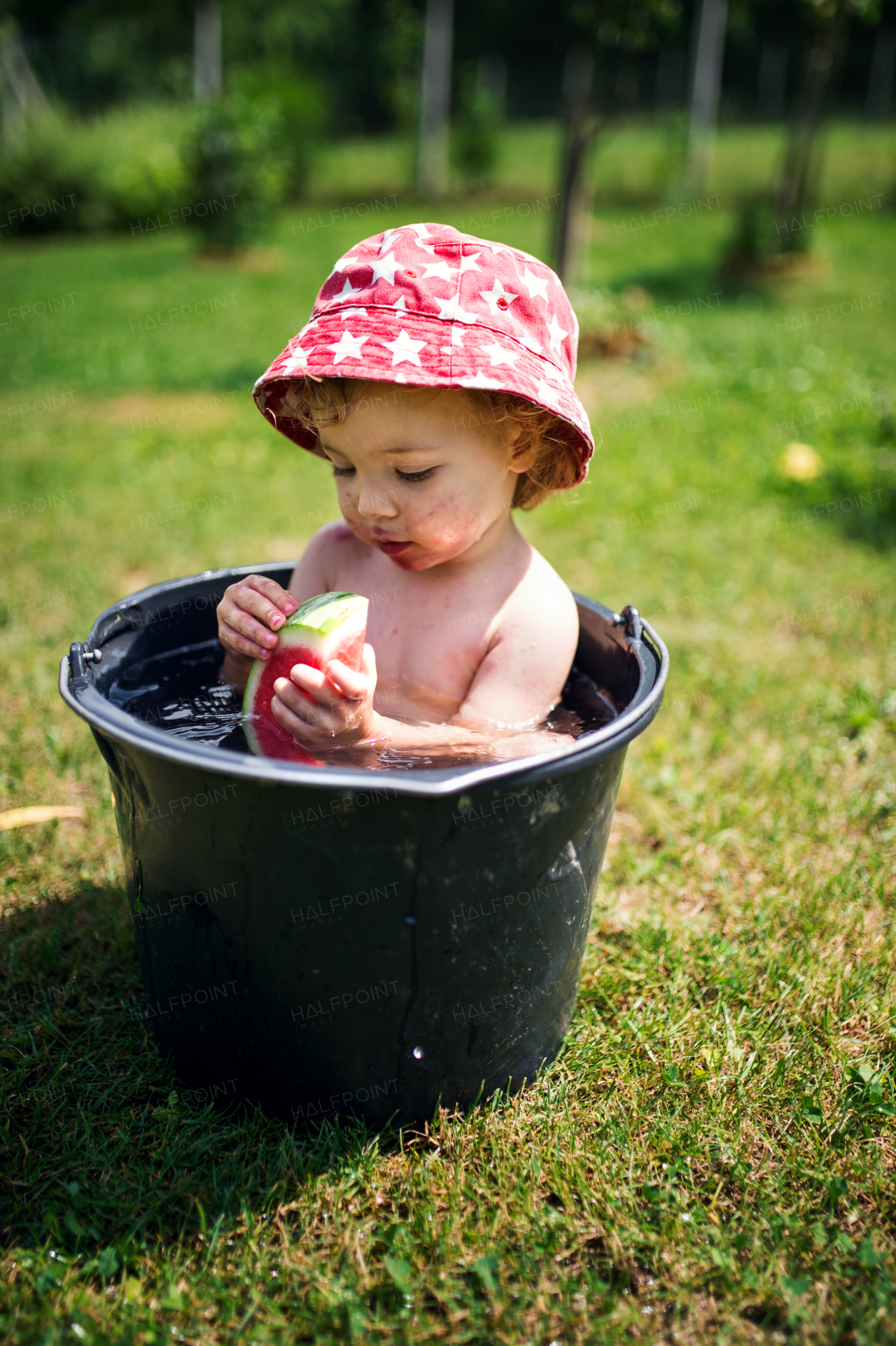 A topless small girl with hat in buckets outdoors in summer garden, eating watermelon.