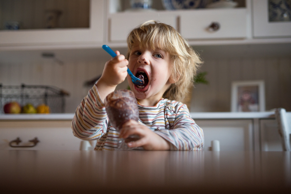 Portrait of small boy with dirty mouth indoors in kitchen at home, eating pudding.