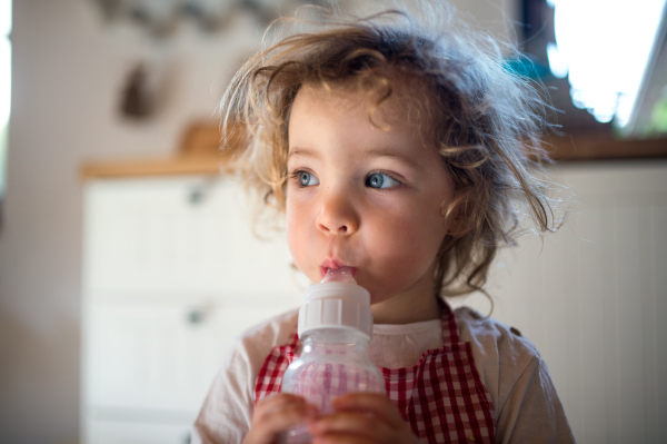 Portrait of small girl indoors in kitchen at home, drinking milk from bottle.