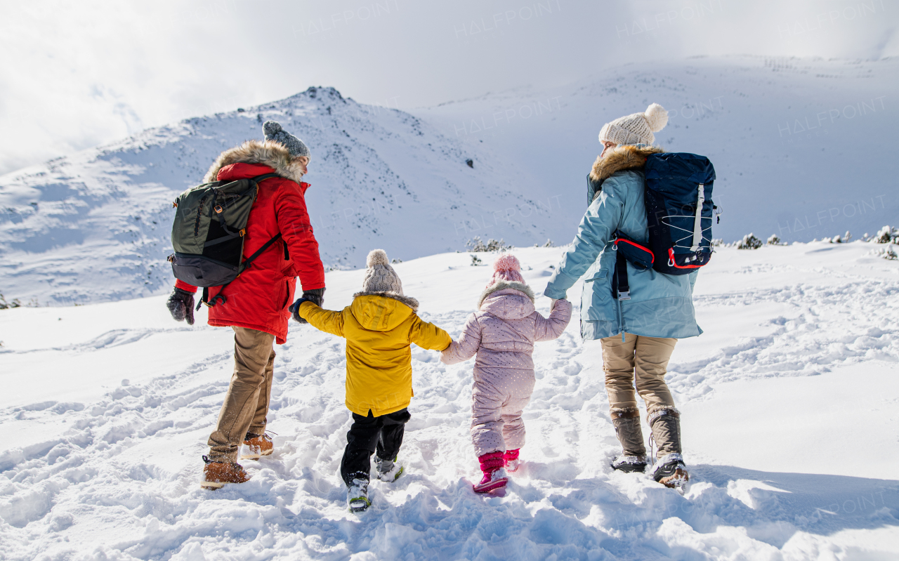 Rear view portrait of father and mother with two small children in winter nature, walking in the snow.