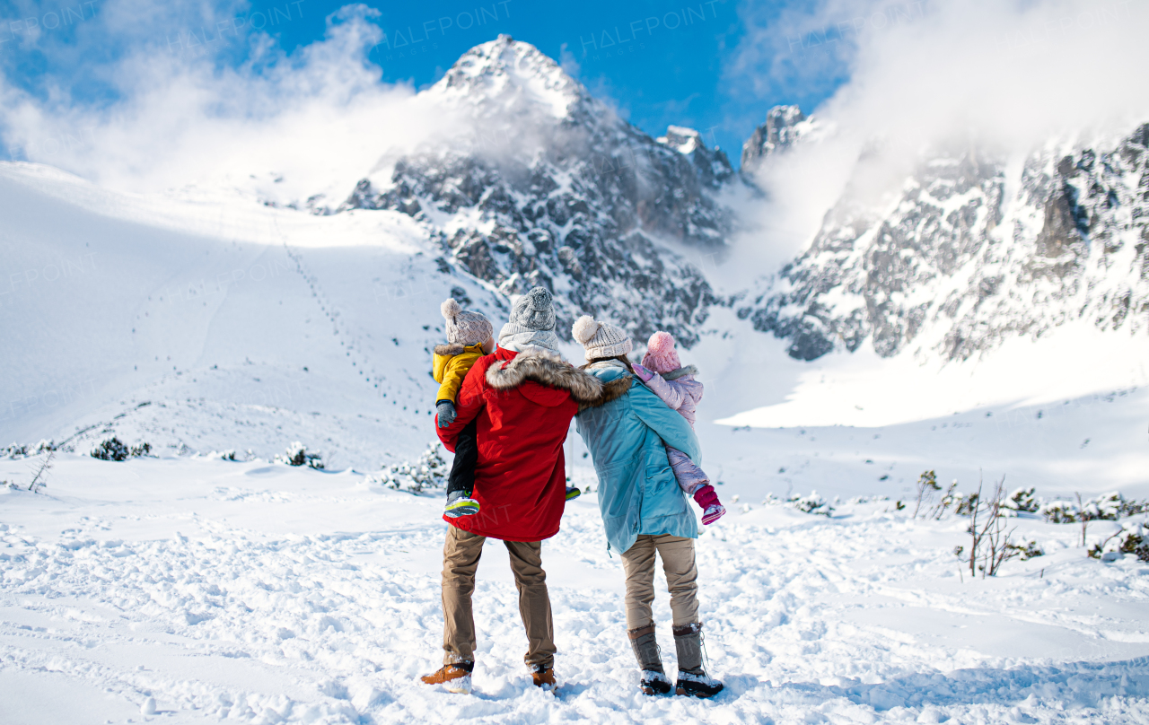 Rear view portrait of father and mother with two small children in winter nature, walking in the snow.