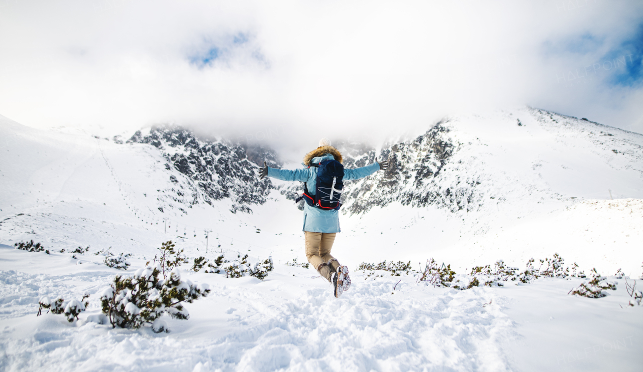 A rear view of young woman jumping in snowy winter nature, arms stretched.