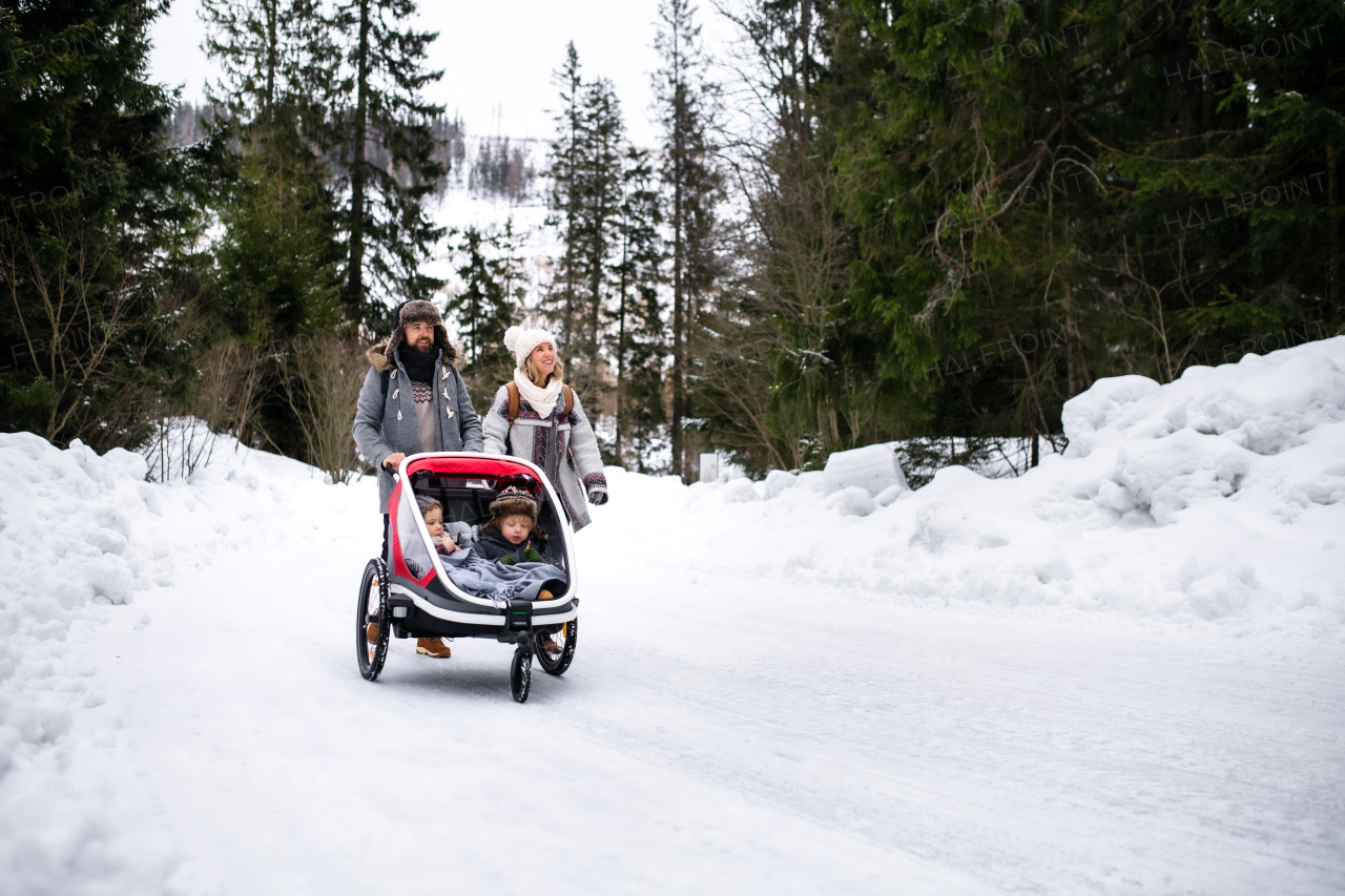 Father and mother with two small children sitting in trailer, walking in snow in winter nature.