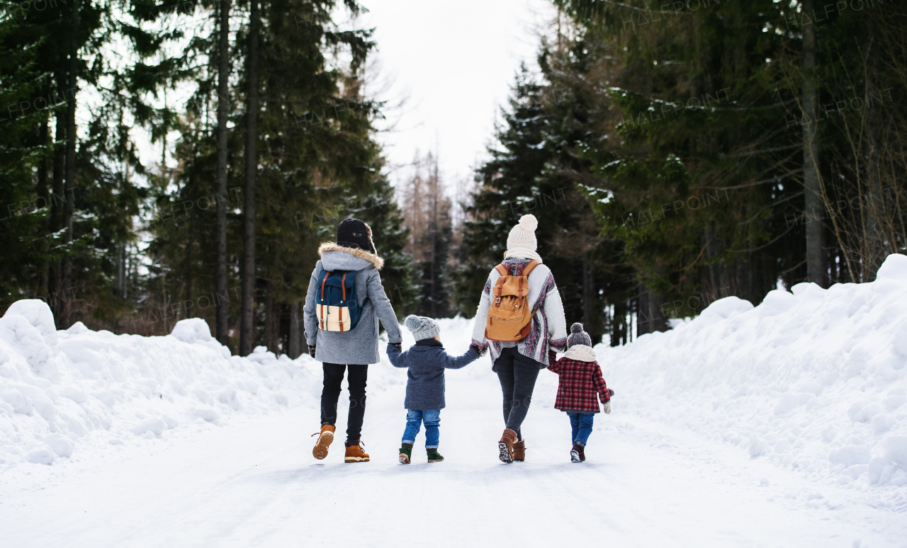 Rear view of family with two small children holding hands in winter nature, walking in the snow.