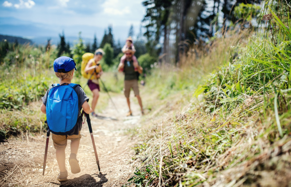 Rear view of small boy with family hiking outdoors in summer nature. Copy space.