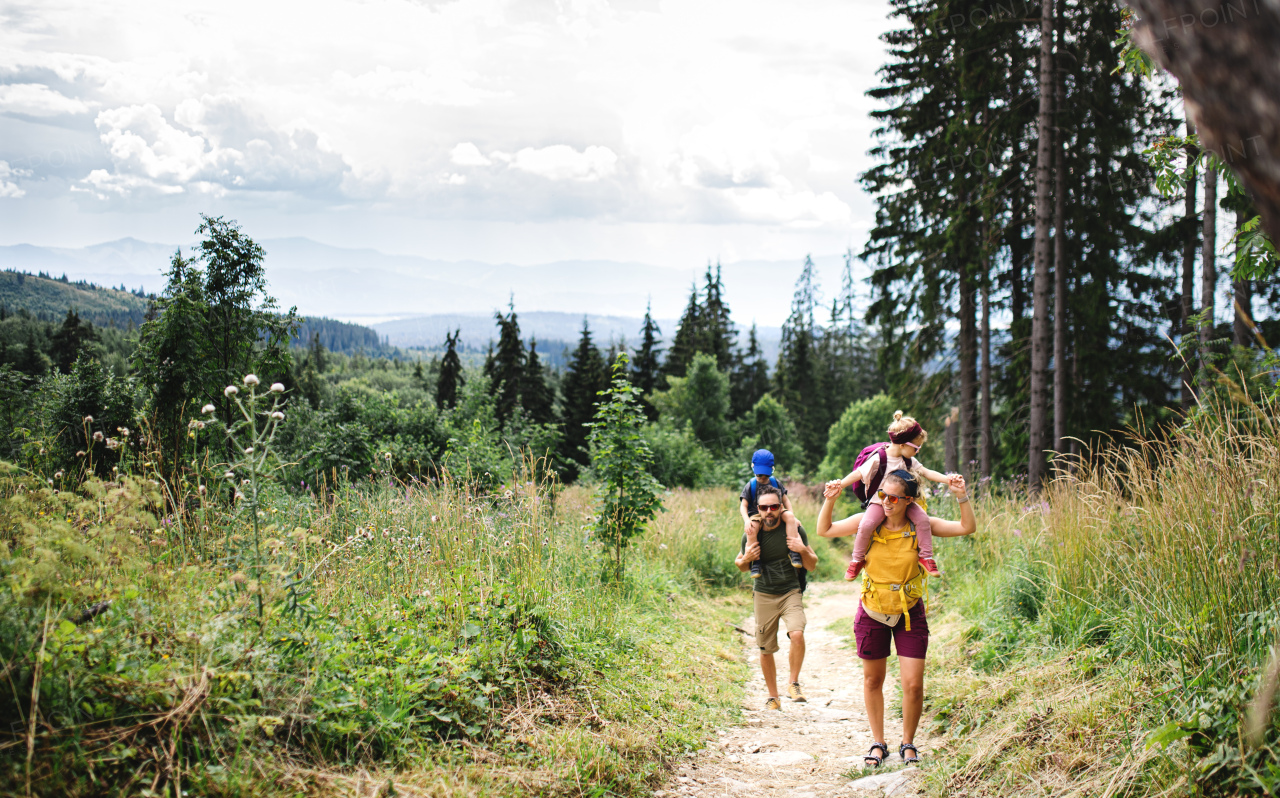 Front view of family with small children hiking outdoors in summer nature.