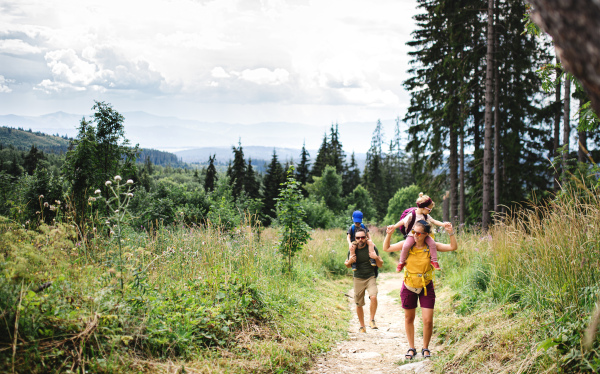 Front view of family with small children hiking outdoors in summer nature.