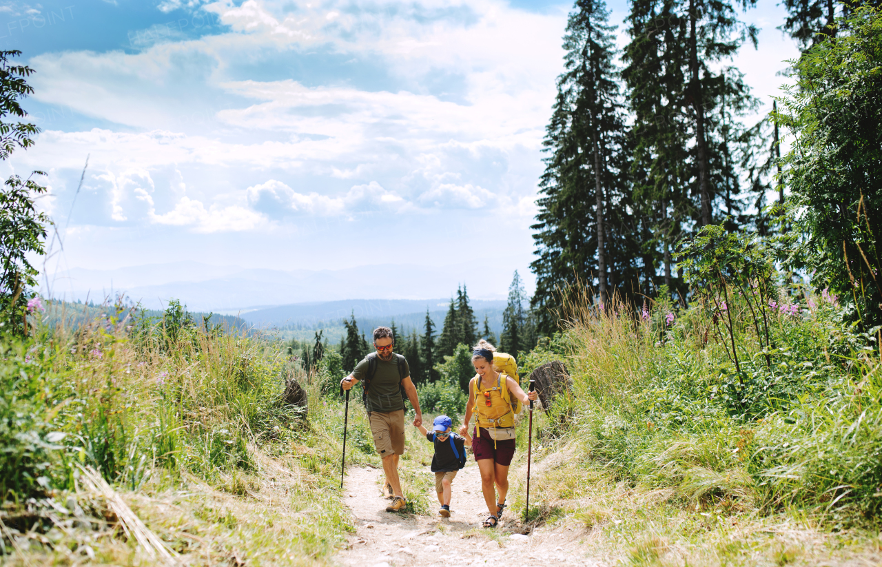 Front view of family with small son hiking outdoors in summer nature.