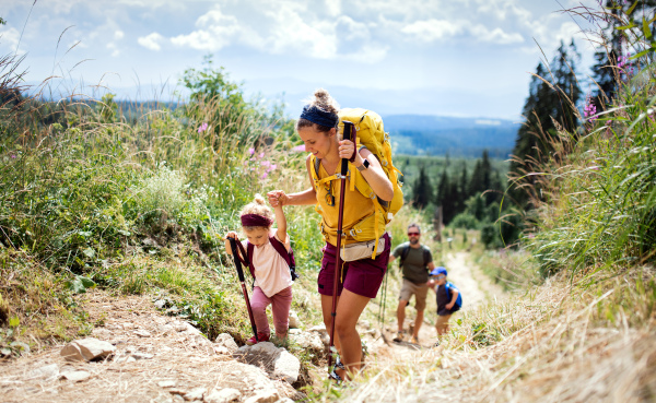 Happy family with small children hiking outdoors in summer nature, walking in High Tatras.