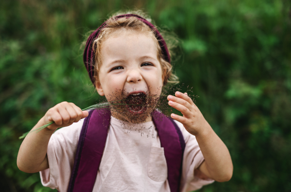 Front view portrait of small toddler girl outdoors in summer nature, holding grass.