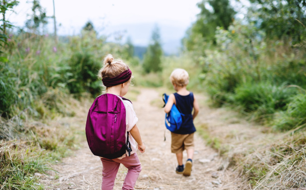 Rear view of two small children hiking outdoors in summer nature.