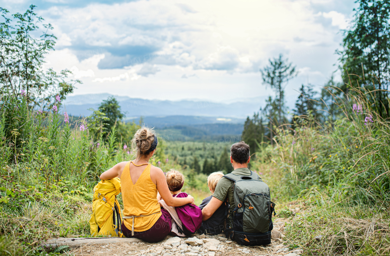 Rear view of family with small children hiking outdoors in summer nature, sitting and resting.