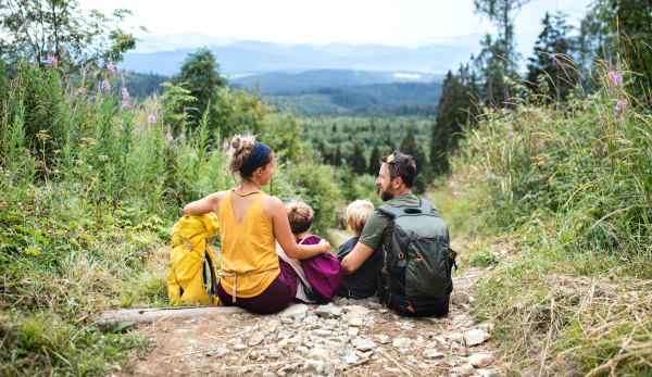 A rear view of family with small children hiking outdoors in summer nature, resting.