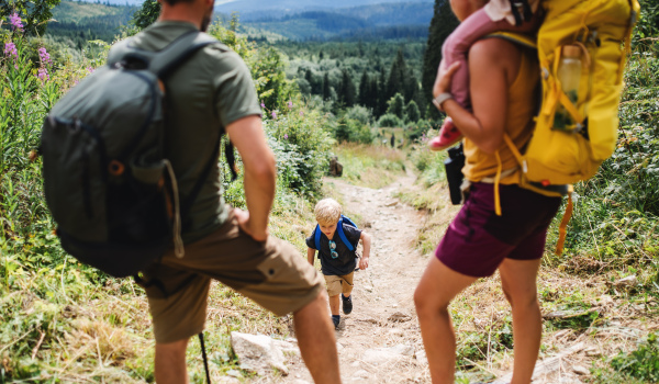 Happy family with small children hiking outdoors in summer nature, walking in High Tatras.