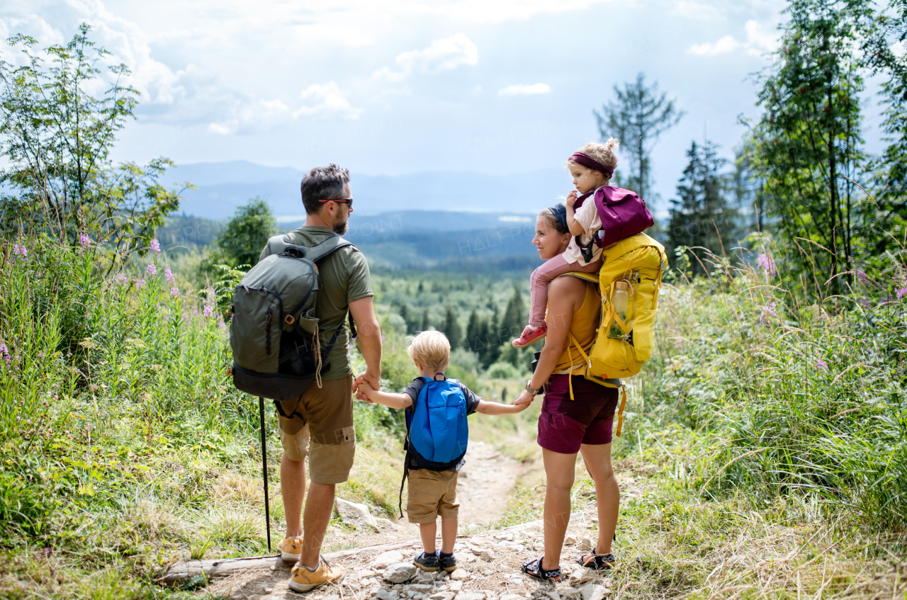 Rear view of family with small children hiking outdoors in summer nature, standing and resting.