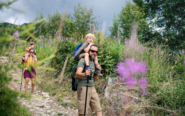 Happy family with small children hiking outdoors in summer nature, walking.