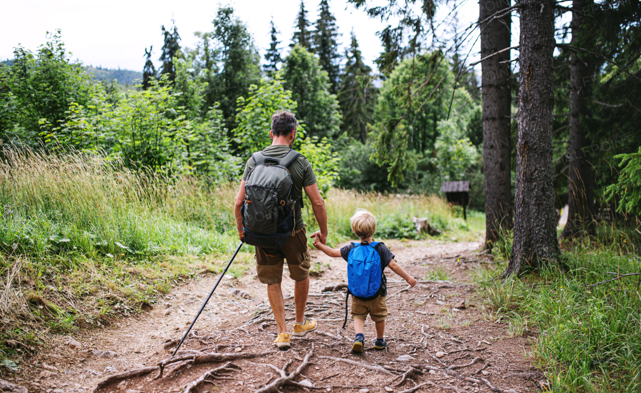 Rear view of father with small son hiking outdoors in summer nature, walking. Tatra mountains in Slovakia.