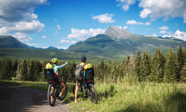 Rear view of family with small children cycling outdoors in summer nature, resting.